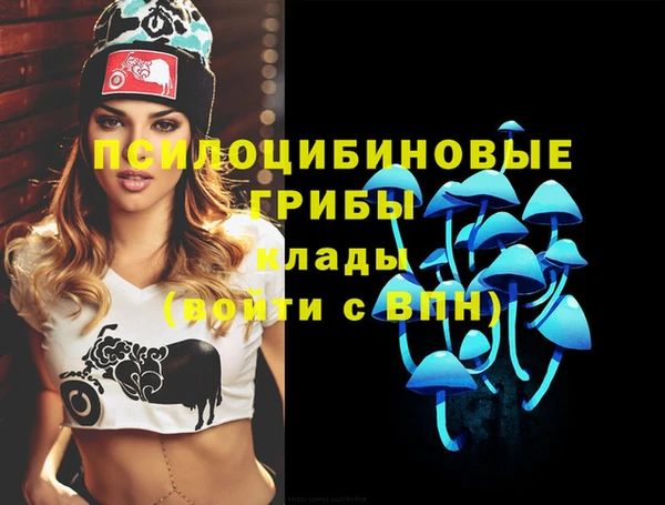 ПСИЛОЦИБИНОВЫЕ ГРИБЫ Лиски
