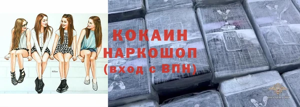 соль ск Липки