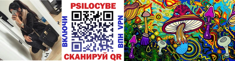 Псилоцибиновые грибы прущие грибы Томилино